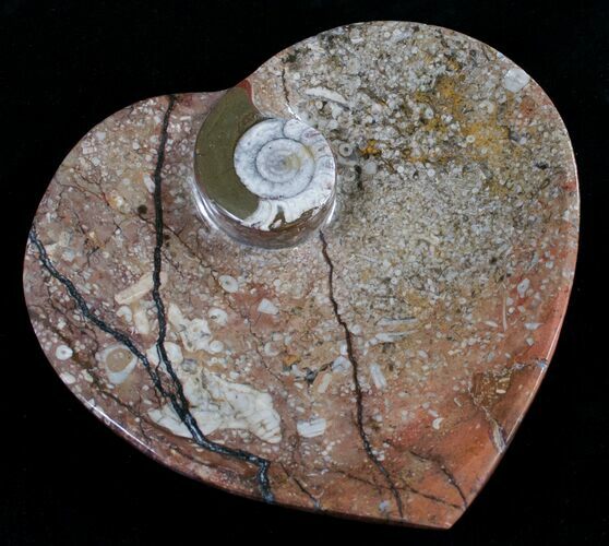 Heart Shaped Fossil Goniatite Dish #8996